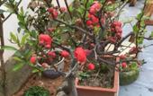 Туры в отель Floral Hotel · Her Story Boutique hotel (Hongcun Scenic Spot Store) Туры в отель Floral Hotel · Her Story Boutique hotel (Hongcun Scenic Spot Store)