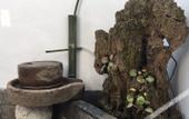 Туры в отель Zhuozheng Xiangshu Guesthouse Туры в отель Zhuozheng Xiangshu Guesthouse