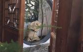 Туры в отель Zhuozheng Xiangshu Guesthouse Туры в отель Zhuozheng Xiangshu Guesthouse