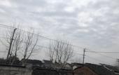 Туры в отель Zhuozheng Xiangshu Guesthouse Туры в отель Zhuozheng Xiangshu Guesthouse