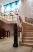 Туры в отель Minggang Zhongzhou International Hotel Туры в отель Minggang Zhongzhou International Hotel