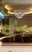 Туры в отель Floral Lux Hotel Five Peaks Mingzhai Cloud View Lodge Туры в отель Floral Lux Hotel Five Peaks Mingzhai Cloud View Lodge