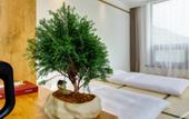 Туры в отель Floral Lux Hotel Five Peaks Mingzhai Cloud View Lodge Туры в отель Floral Lux Hotel Five Peaks Mingzhai Cloud View Lodge