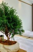 Туры в отель Floral Lux Hotel Five Peaks Mingzhai Cloud View Lodge Туры в отель Floral Lux Hotel Five Peaks Mingzhai Cloud View Lodge