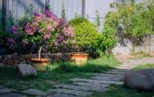 Туры в отель Floral Hotel ·Jinyun Hele Hotel (Xiandu Scenic Area) Туры в отель Floral Hotel ·Jinyun Hele Hotel (Xiandu Scenic Area)