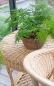 Туры в отель Floral Hotel·Pushanju Hotel Туры в отель Floral Hotel·Pushanju Hotel