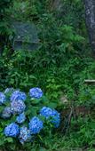 Туры в отель Floral Hotel·Jiande Fenghui Xiaoyuan Hotel (Meicheng Ancient Town) Туры в отель Floral Hotel·Jiande Fenghui Xiaoyuan Hotel (Meicheng Ancient Town)