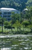 Туры в отель Floral Hotel·Jiande Fenghui Xiaoyuan Hotel (Meicheng Ancient Town) Туры в отель Floral Hotel·Jiande Fenghui Xiaoyuan Hotel (Meicheng Ancient Town)