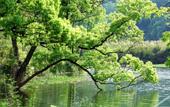 Туры в отель Floral Hotel·Jiande Fenghui Xiaoyuan Hotel (Meicheng Ancient Town) Туры в отель Floral Hotel·Jiande Fenghui Xiaoyuan Hotel (Meicheng Ancient Town)