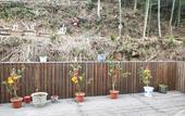 Туры в отель Floral Hotel·Jiande Fenghui Xiaoyuan Hotel (Meicheng Ancient Town) Туры в отель Floral Hotel·Jiande Fenghui Xiaoyuan Hotel (Meicheng Ancient Town)