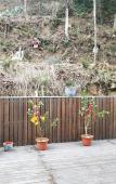 Туры в отель Floral Hotel·Jiande Fenghui Xiaoyuan Hotel (Meicheng Ancient Town) Туры в отель Floral Hotel·Jiande Fenghui Xiaoyuan Hotel (Meicheng Ancient Town)