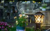 Туры в отель Floral Hotel · Wuyuan River Embankment B&B Hotel (County Center Business District Store) Туры в отель Floral Hotel · Wuyuan River Embankment B&B Hotel (County Center Business District Store)