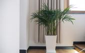 Туры в отель Floral Hotel · Wuyuan River Embankment B&B Hotel (County Center Business District Store) Туры в отель Floral Hotel · Wuyuan River Embankment B&B Hotel (County Center Business District Store)