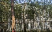 Туры в отель Floral Lux Hotel · Jinan see mountain knot Lu Hotel Туры в отель Floral Lux Hotel · Jinan see mountain knot Lu Hotel