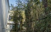 Туры в отель Floral Lux Hotel · Jinan see mountain knot Lu Hotel Туры в отель Floral Lux Hotel · Jinan see mountain knot Lu Hotel
