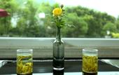 Туры в отель Floral Hotel·Anji Flower Non Mist Hotel (Cloud Grassland Store) Туры в отель Floral Hotel·Anji Flower Non Mist Hotel (Cloud Grassland Store)