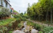 Туры в отель Floral Hotel · Yi Jia Mogan Mountain hotel Туры в отель Floral Hotel · Yi Jia Mogan Mountain hotel