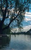 Туры в отель Floral Wutong Garden Tea Pavilion Book House Water Town Boutique Stay (Keyan Scenic Area) Туры в отель Floral Wutong Garden Tea Pavilion Book House Water Town Boutique Stay (Keyan Scenic Area)
