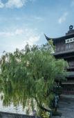Туры в отель Floral Wutong Garden Tea Pavilion Book House Water Town Boutique Stay (Keyan Scenic Area) Туры в отель Floral Wutong Garden Tea Pavilion Book House Water Town Boutique Stay (Keyan Scenic Area)