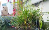 Туры в отель Floral Hotel·Qixi Meisu Hotel (Wuyuan Branch) Туры в отель Floral Hotel·Qixi Meisu Hotel (Wuyuan Branch)