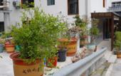 Туры в отель Floral Hotel · Mountain Whisper Hotel(Shennongjia Wooden fish store) Туры в отель Floral Hotel · Mountain Whisper Hotel(Shennongjia Wooden fish store)