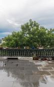 Туры в отель Floral Hotel·Xincheng Hotel in Wuyi Mountain Hotel Туры в отель Floral Hotel·Xincheng Hotel in Wuyi Mountain Hotel