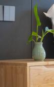 Туры в отель Floral Hotel· Shengsi hotel (South Changtu Beach Shop) Туры в отель Floral Hotel· Shengsi hotel (South Changtu Beach Shop)