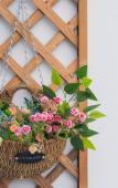 Туры в отель Floral Hotel· Shengsi hotel (South Changtu Beach Shop) Туры в отель Floral Hotel· Shengsi hotel (South Changtu Beach Shop)