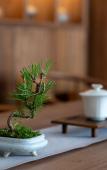 Туры в отель Floral Lux Hotel · One valley and one villa Hotel (South Gate store of Huangshan Scenic Area) Туры в отель Floral Lux Hotel · One valley and one villa Hotel (South Gate store of Huangshan Scenic Area)