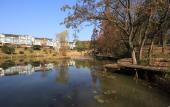 Туры в отель Floral Hotel·Jintan Maoshan Yunyu Hotel Туры в отель Floral Hotel·Jintan Maoshan Yunyu Hotel