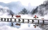Туры в отель Floral Hotel·Xinzhu Hotel (Xiandu scenic spot shop) Туры в отель Floral Hotel·Xinzhu Hotel (Xiandu scenic spot shop)