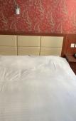 Туры в отель Shanghai Youyou Hotel Туры в отель Shanghai Youyou Hotel