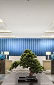 Туры в отель Chongqing Jinke Grand Hotel Туры в отель Chongqing Jinke Grand Hotel