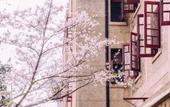Туры в отель Moshe Lite Stay • Tea House • Chinese Hotel (Wuhan University of Technology, Jiedaokou Branch) Туры в отель Moshe Lite Stay • Tea House • Chinese Hotel (Wuhan University of Technology, Jiedaokou Branch)