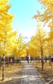 Туры в отель Homestyle Baiyun Hotel Туры в отель Homestyle Baiyun Hotel