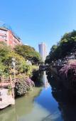 Туры в отель MARHAUS Hotel (Beijing Road Tian-Zi Pier Store) Туры в отель MARHAUS Hotel (Beijing Road Tian-Zi Pier Store)
