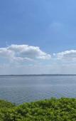 Туры в отель Hotel Indigo SUZHOU YANGCHENG LAKE by IHG Туры в отель Hotel Indigo SUZHOU YANGCHENG LAKE by IHG