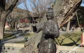 Туры в отель Shankee Hotel (Taiyuan Jinyuan District Jinci Scenic Area) Туры в отель Shankee Hotel (Taiyuan Jinyuan District Jinci Scenic Area)