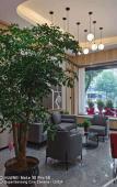 Туры в отель Shankee Hotel (Deqing Zhongxingbei Road) Туры в отель Shankee Hotel (Deqing Zhongxingbei Road)