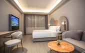 Туры в отель Mercure Changchun Ziyou Road Hotel Туры в отель Mercure Changchun Ziyou Road Hotel