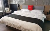 Туры в отель Shankee Hotel (Huanghua Municipal Government Nanhai Park) Туры в отель Shankee Hotel (Huanghua Municipal Government Nanhai Park)