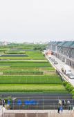 Туры в отель Kaiyuan Manju Xiaoshan International Airport West Gate store Туры в отель Kaiyuan Manju Xiaoshan International Airport West Gate store