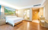 Туры в отель Vienna Hotel (Jiangmen Changan Road Pedestrian Street) Туры в отель Vienna Hotel (Jiangmen Changan Road Pedestrian Street)