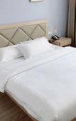 Туры в отель Shanghai Shuyi Holiday Inn Туры в отель Shanghai Shuyi Holiday Inn