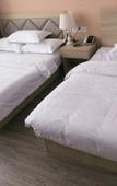 Туры в отель Shanghai Shuyi Holiday Inn Туры в отель Shanghai Shuyi Holiday Inn