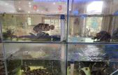 Туры в отель Bohao Smart Hotel (Huaye Family Expo Park) Туры в отель Bohao Smart Hotel (Huaye Family Expo Park)