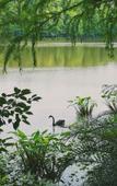 Туры в отель Yeebo Xiuhu Resort Hotel Туры в отель Yeebo Xiuhu Resort Hotel