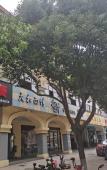 Туры в отель Urban Garden Hotel (Hangzhou Xixi Happy City Store) Туры в отель Urban Garden Hotel (Hangzhou Xixi Happy City Store)