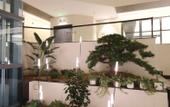 Туры в отель Foshan An-Joy Hotel Туры в отель Foshan An-Joy Hotel