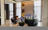 Туры в отель Homeinn Selected Hotel (Xi'an High-tech Zone CID Central Innovation District) Туры в отель Homeinn Selected Hotel (Xi'an High-tech Zone CID Central Innovation District)